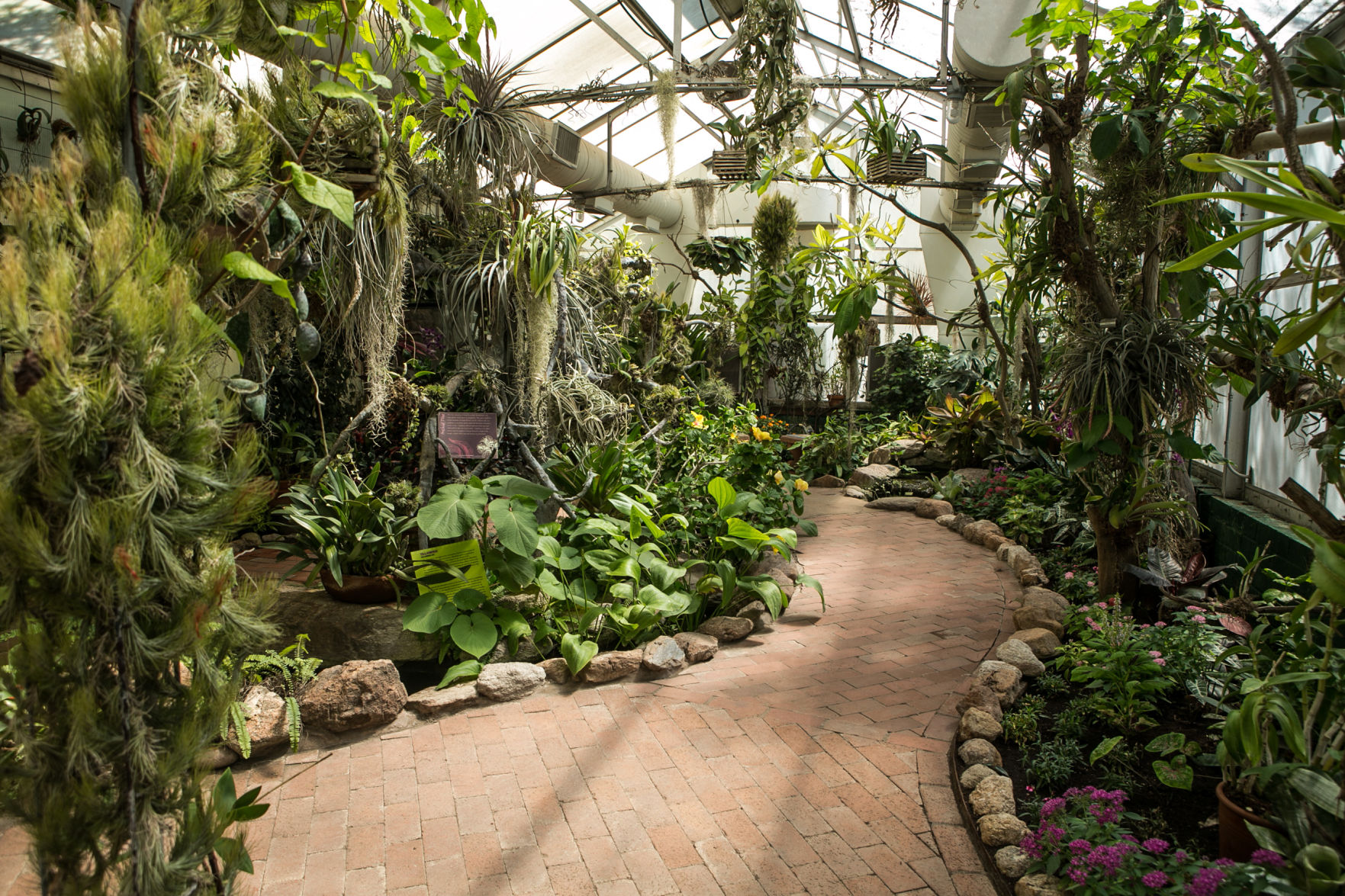 Tucson Botanical Gardens — 2150 N. Alvernon Way